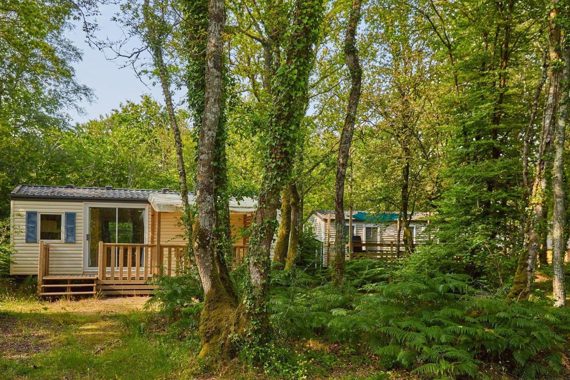 Camping Le Bois De Pleuven *